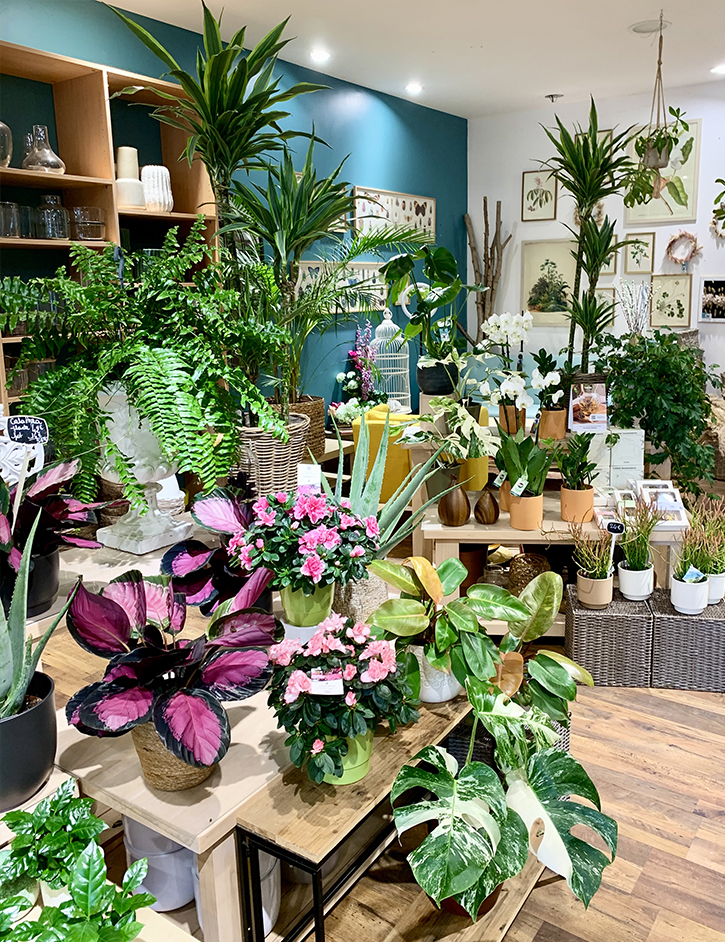 L'Odeur des Sous-Bois L'Odeur des Sous-Bois